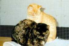 Mutter und Tochter