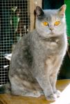 unser Klementinchen