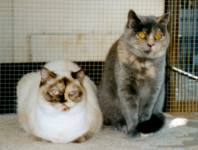 Maggy und Petty beide 9 Monate
