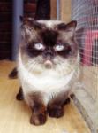 M&auml;xchen